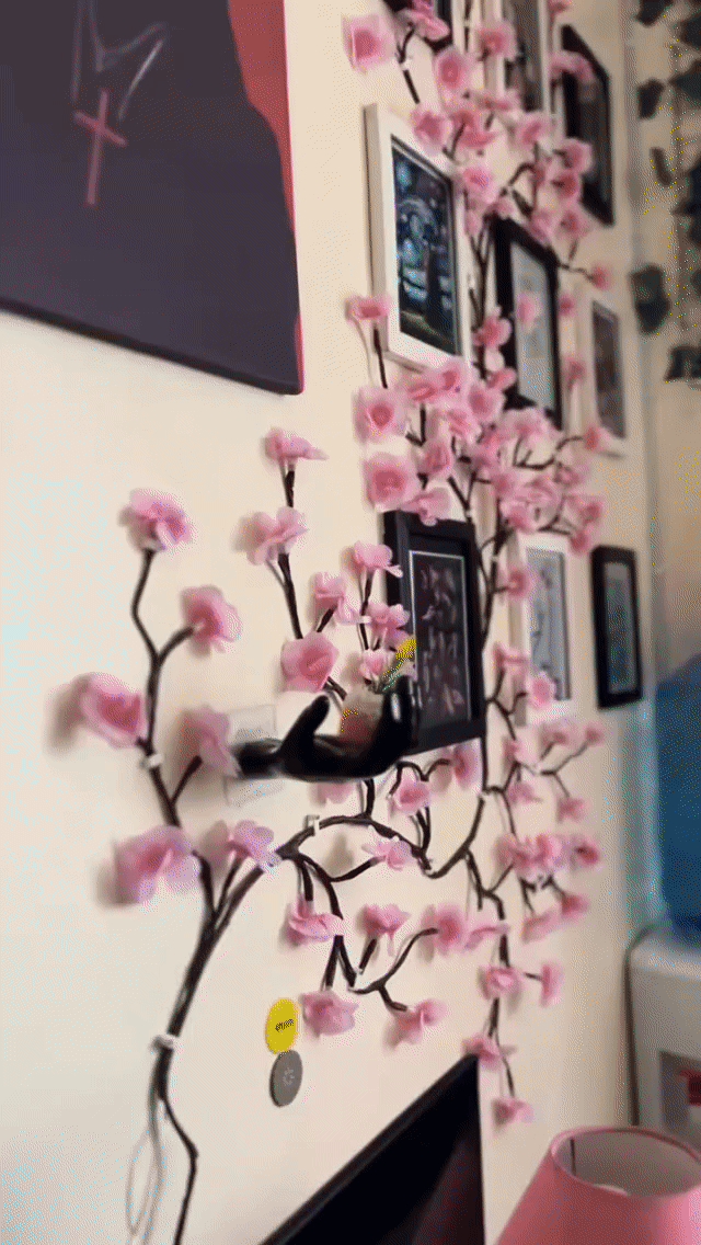 Cherry LED Tree Branch Lights